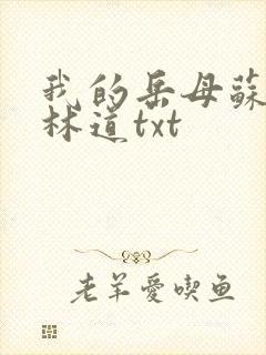 我的岳母苏沛真林道txt封面
