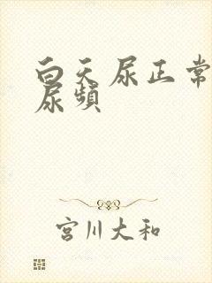 白天尿正常晚上尿频封面