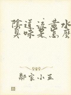 阴道流黄水有腥臭味是怎么回事