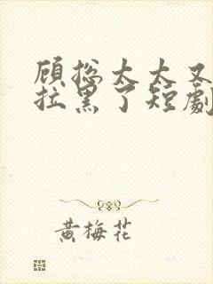 顾总太太又把你拉黑了短剧免费观看31集