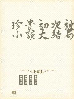 珍贵初次被夺走小说大结局