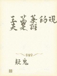 王茜华的现任丈夫是谁