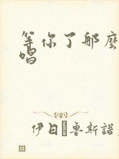 等你了那么久原唱