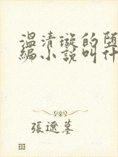 温清璇的堕落改编小说叫什么名字