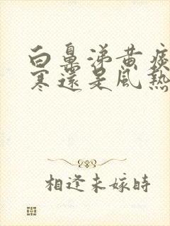 白鼻涕黄痰是风寒还是风热封面