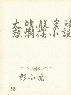 大明,朕崇祯只想烂摆小说