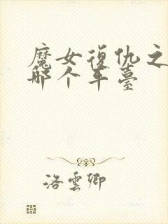 魔女复仇之夜在哪个平台封面