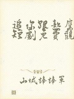 追你跟熬鹰似的短剧免费观看全集封面