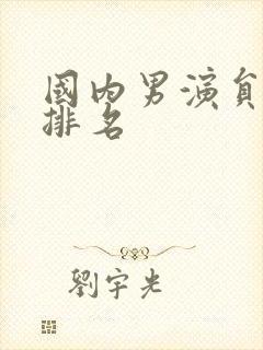 国内男演员演技排名