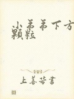 小弟弟下方白色颗粒