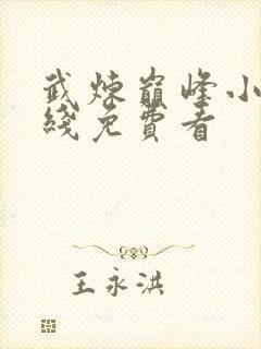 武炼巅峰小说在线免费看封面