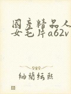 国产精品人妻熟女毛片a62v久久