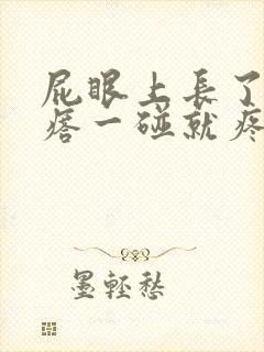 屁眼上长了个疙瘩一碰就疼