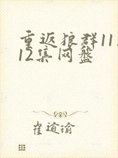 重返狼群11集12集网盘