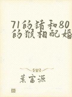 71的猪和80的猴相配婚姻如何