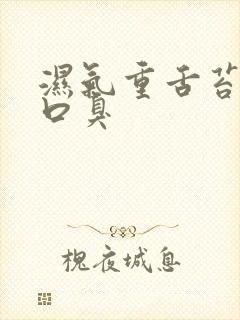 湿气重舌苔黄腻口臭