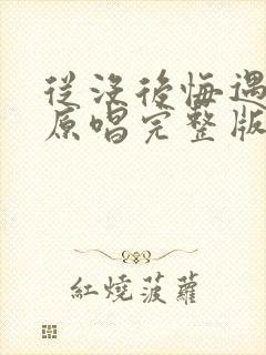 从没后悔遇见你原唱完整版