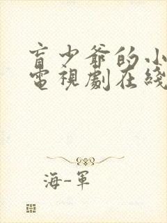 盲少爷的小女仆电视剧在线看