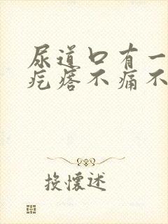 尿道口有一个小疙瘩不痛不痒