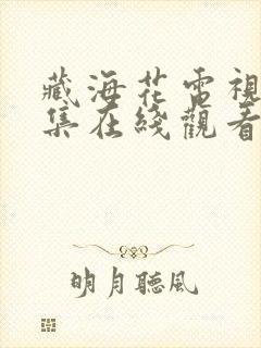 藏海花电视剧全集在线观看 免费