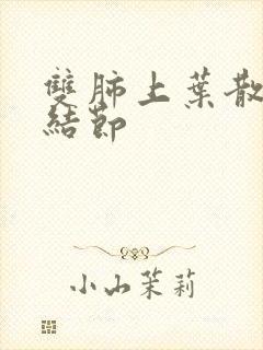 双肺上叶散在微结节