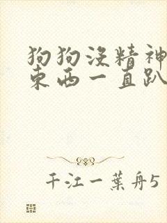 狗狗没精神不吃东西一直趴着呕吐