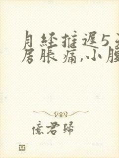 月经推迟5天乳房胀痛,小腹阵痛有分泌物