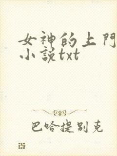 女神的上门贵婿小说txt