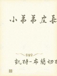 小弟弟皮长肉粒封面