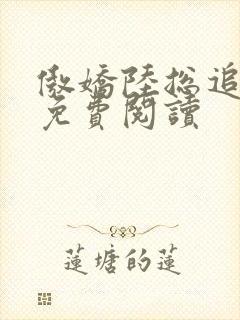 傲娇陆总追妻记免费阅读封面