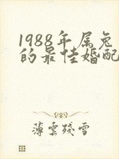 1988年属兔的最佳婚配属相