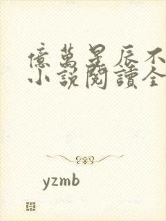 亿万星辰不及你小说阅读全文