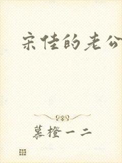 宋佳的老公王伟封面