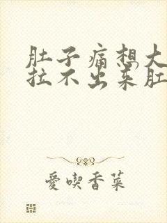 肚子痛想大便又拉不出来肛门坠胀