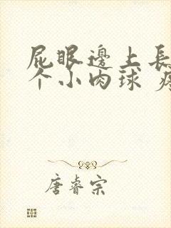 屁眼边上长了一个小肉球 疼