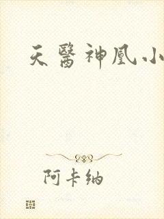 天医神凰小说