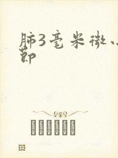 肺3毫米微小结节