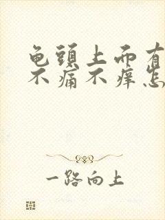 龟头上面有红斑不痛不痒怎么治