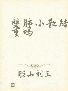 双肺小散结节严重吗