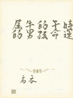 属牛的午时出生的男孩命运