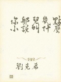 你那儿几点原著小说叫什么