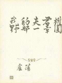 我的夫君权倾朝野哪一章圆房封面