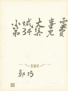 小城大事电视剧第34集免费观看