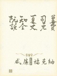 阮知夏司暮寒小说全文免费