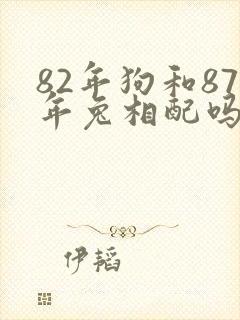 82年狗和87年兔相配吗