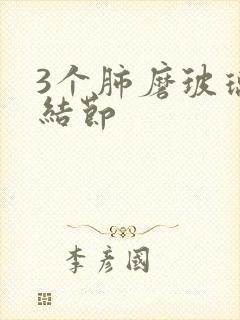 3个肺磨玻璃小结节封面