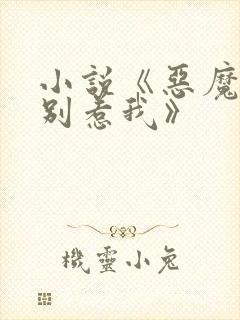 小说《恶魔少爷别惹我》