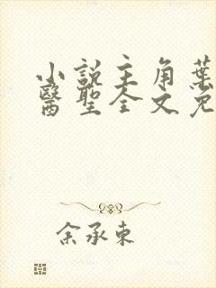 小说主角叶皓轩医圣全文免费