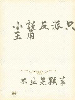 小说反派只想苟主角封面