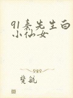 91秦先生白丝小仙女